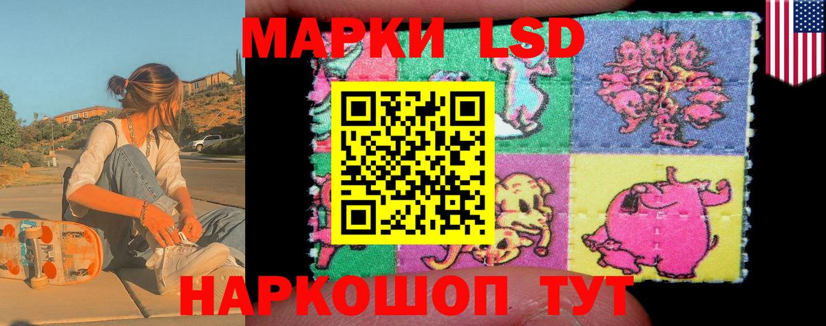 Псилоцибиновые грибы Мурино