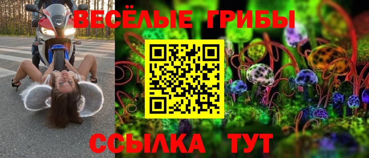 Псилоцибиновые грибы ЛСД Мурино