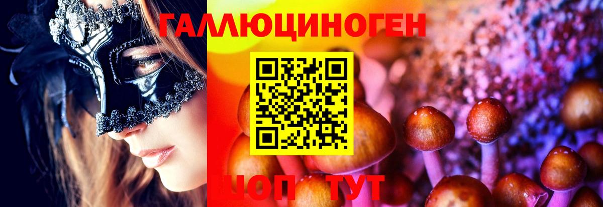 Псилоцибиновые грибы Psilocybine cubensis  Псилоцибиновые грибы прущие грибы  наркотики  Вход с VPN  Мурино 